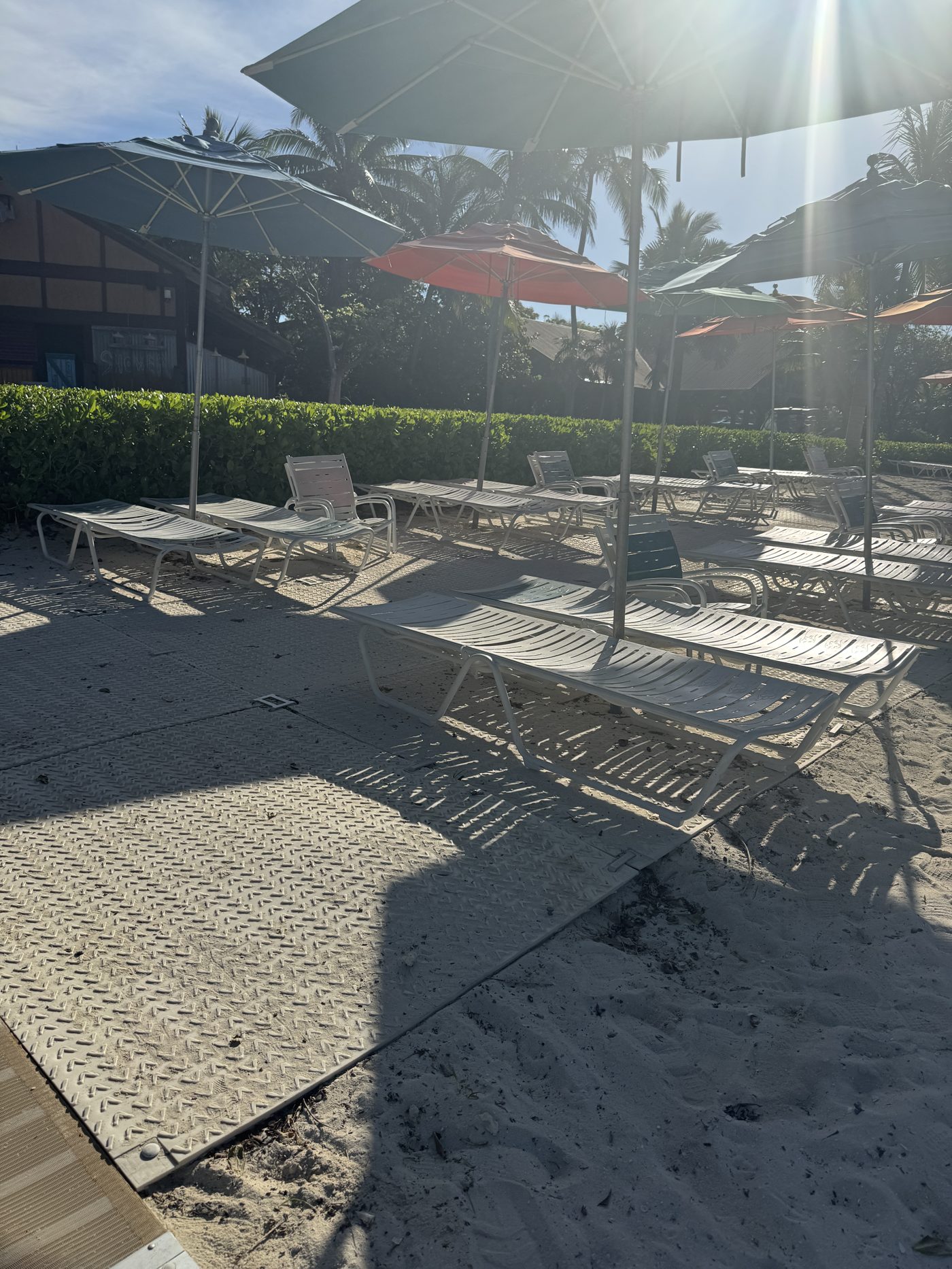 Mobi-mat pathway extending across the sand to a row of lounge chairs and umbrellas at Castaway Cay